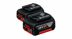 Bosch GBA 18V 5,0 Ah (2 Pièces)