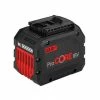 Bosch 1600A016GU - Batterie ProCORE18V 12,0Ah